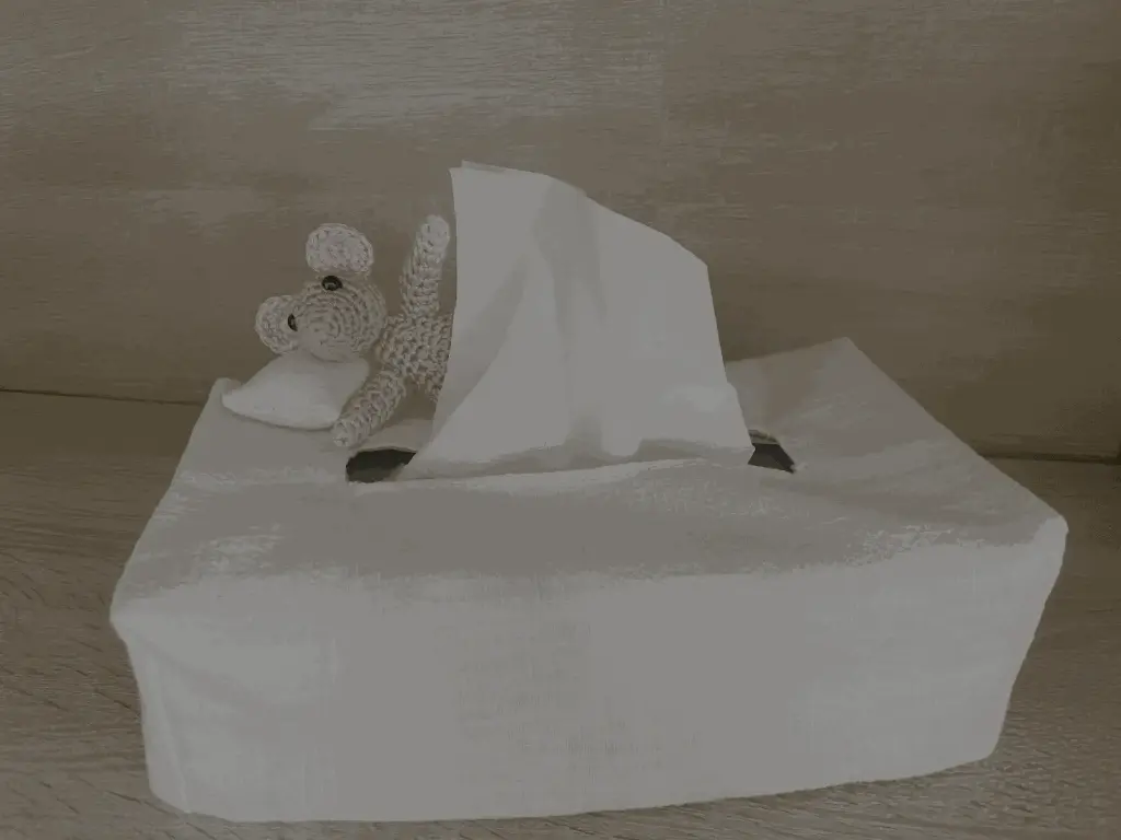 Événement 'Boite à mouchoir souris' cover image.webp