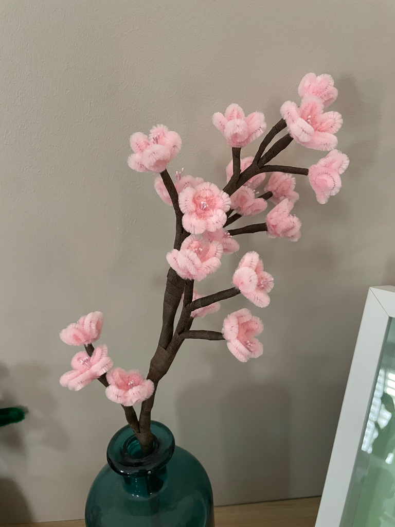 Branche de cerisier du japon